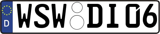 WSW-DI06