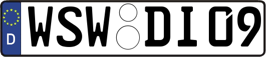 WSW-DI09