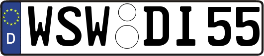 WSW-DI55