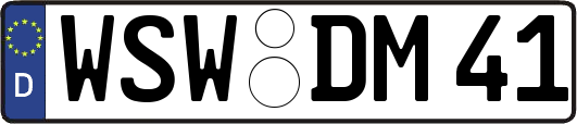 WSW-DM41
