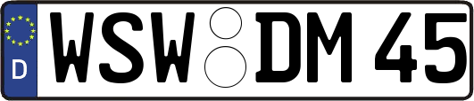 WSW-DM45