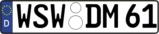 WSW-DM61