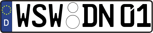 WSW-DN01