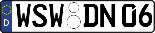 WSW-DN06