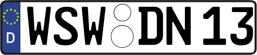 WSW-DN13