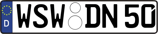 WSW-DN50