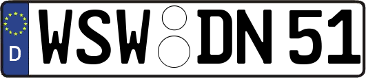 WSW-DN51