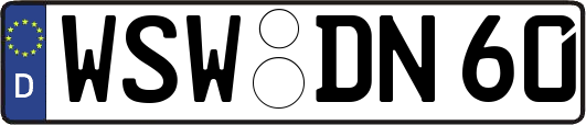 WSW-DN60