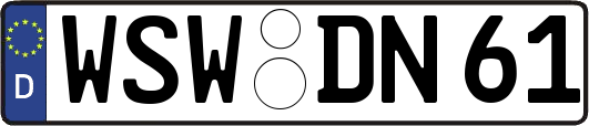 WSW-DN61
