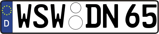 WSW-DN65