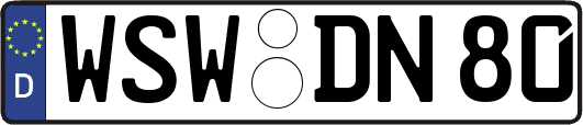 WSW-DN80