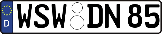 WSW-DN85