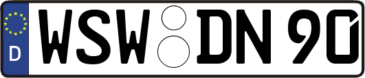 WSW-DN90