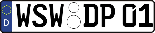 WSW-DP01