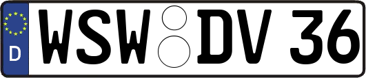 WSW-DV36