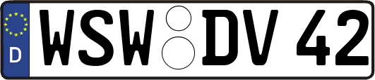 WSW-DV42