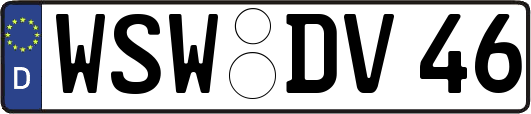 WSW-DV46