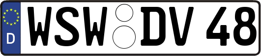 WSW-DV48