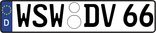 WSW-DV66