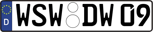 WSW-DW09