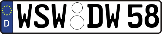 WSW-DW58