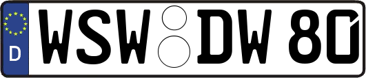 WSW-DW80