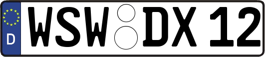 WSW-DX12