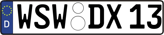 WSW-DX13