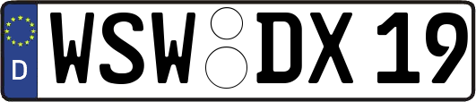 WSW-DX19