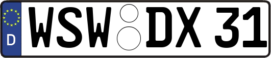 WSW-DX31