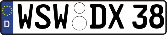 WSW-DX38