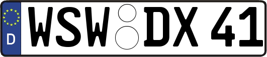 WSW-DX41