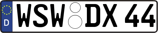 WSW-DX44