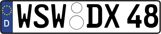 WSW-DX48