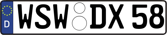 WSW-DX58