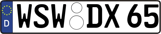 WSW-DX65