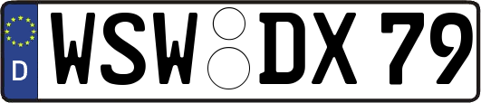 WSW-DX79