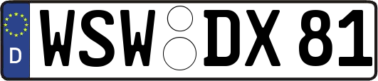 WSW-DX81