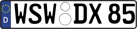WSW-DX85