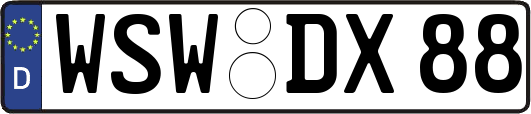 WSW-DX88