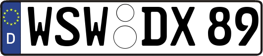 WSW-DX89