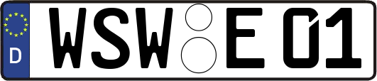 WSW-E01