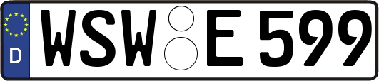 WSW-E599