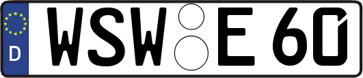 WSW-E60