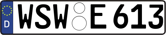 WSW-E613