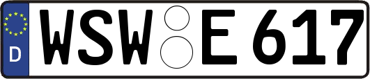 WSW-E617