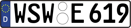 WSW-E619