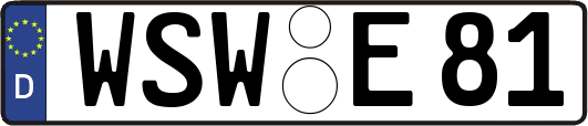 WSW-E81