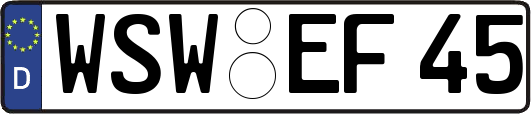 WSW-EF45