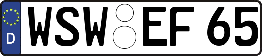 WSW-EF65